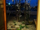 庭と雑木と家と｜三和木様春日井展示場|愛... 夜景坪庭