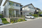 夏の花壇の作り方｜カラーリーフで涼しく|... 夏の花壇完成全景