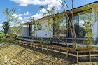 ビルトインガレージ法面に建つ家｜kise... シマトネリコ