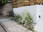木製サイクルポート｜素敵な塗壁の家に似合... 植栽イメージ