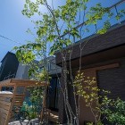 森に住まう雑木の庭｜エコ建築考房新築外構... アオダモシンボルツリー玄関