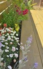 ドックランを家で楽しむ|全面ウッドデッキ... 花壇の写真