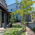 大きな庭のつくりかた｜雑木に囲まれ平屋の... グリ石のアプローチ