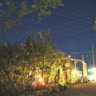 森に住まう雑木の庭｜エコ建築考房新築外構... 20100514_14611971