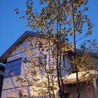 プールがある高級リゾートガーデン|アジア... アズキナシ夜景