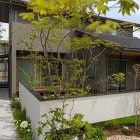 大きな庭のつくりかた|雑木に囲まれ平屋の... 雑木の庭