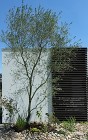 平屋な住まい｜ハイセンスな建築家と作るオ... 店舗 外構 デザイン