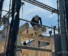 松戸新田の家上棟 株式会社 神成建築計画... https://kannari-archi.com/wp2/wp-content/uploads/2025/08/IMG_7010.jpeg