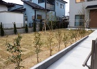 庭まわり1 庭まわり1