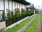 風景にマッチした目隠し生垣 須賀川市I様... 風景にマッチした目隠し生垣(須賀川市 I...