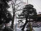 雪景色 雪景色