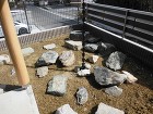 閑静な住宅街に出来た茶庭 須賀川市S様邸
