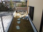 閑静な住宅街に出来た茶庭 須賀川市S様邸