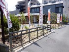 相乗効果抜群!自然素材住宅と樹々がいっぱ... 展示場植栽