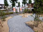 相乗効果抜群!自然素材住宅と樹々がいっぱ... 展示場植栽