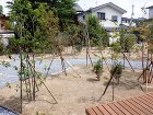 相乗効果抜群!自然素材住宅と樹々がいっぱ... 展示場植栽