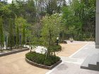 アプローチ・園路 公園風の緩やかなS字方のアプローチガーデ...