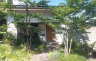 日々のこと 北摂 庭づくり 雑木と野草｜...