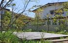八幡市K邸 北摂 庭づくり 雑木と野草｜... 春の訪れ♪