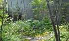 八幡市K邸 北摂 庭づくり 雑木と野草｜...