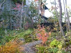 八幡市K邸 北摂 庭づくり 雑木と野草｜...
