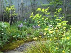 八幡市K邸 北摂 庭づくり 雑木と野草|...
