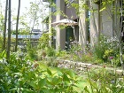京田辺市T邸 北摂 庭づくり 雑木と野草...