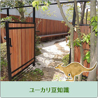 ユーカリ豆知識 ユーカリ豆知識