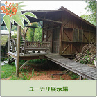 エコウッド景観協同組合｜ユーカリ天然木で... ユーカリ展示場