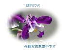 木造・新築住宅の実例｜(有)Ｙｕ設計企画... /_src/2439/imgp2182binp.jpg