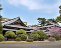 伝統建築・その他／実績紹介−清水建設の社...