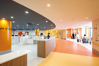 Fukuoka Dental Colle...