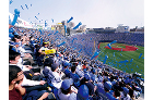 横浜スタジアム | Works | シミ... shimzdesign/works/images/2020/2020stadium_ph004.jpg