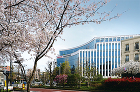 共同印刷株式会社 本社 | Works ... shimzdesign/works/images/2023/2023kyodoprinting_ph003.jpg