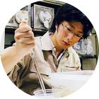 なるほど!虫の侵入を減らす使い方 - 網... 堀?智博(ほりぐちともひろ)