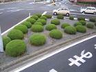 ザバーン防草シート施工事例12
