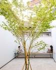 松田周作建築設計事務所 Shusaku ... HOUSE O_05.jpe
