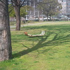 WORKS | 矢橋徹建築設計事務所 -... https://yabashi-aa.com/wp/wp-content/uploads/2022/07/media-14-1000x1000.jpg