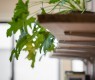 安東の住宅 | SAKAKI Ateli... wp/wp-content/uploads/2015/04/officeinterior07-95x80.jpg