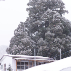 杉の下意匠室 | 井上貴詞建築設計事務所 https://takashiinoue.com/wp-content/uploads/2018/01/01-3.jpg