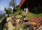 風雅伝　Fu-Garden; 意匠　-　... http://fugarden.com/images/Hobbit/Resize/IMGP5595.JPG