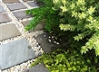 風雅伝　Fu-Garden; 意匠　-　... http://fugarden.com/images/BorderGarden/Border.jpg