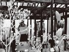 卒業・修士設計作品リスト　2020年度 ... /wp-content/uploads/2021/03/c00f31b3b294bf6fd61ea0546f38a950-1024x768.jpg