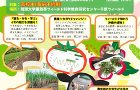 イベント | 琉球大学 wp-content/uploads/2025/10/acb27accc49b33c9bde6d0c7a533450b-370x240.jpg