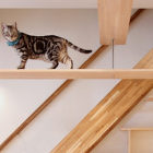 プロジェクト | akka /一級建築士... wp-content/uploads/2011/11/s-1-200x200.jpg