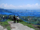 体験農園『三和観光農園』 | 環境プラン... DSCN1310