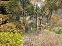 個人住宅 /works/ashikaga/IMG_3005_thumb.jpg