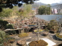 個人住宅 /works/ashikaga/IMG_3015_thumb.jpg