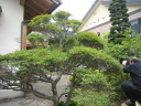 個人住宅 /works/ashikaga/IMG_8050_thumb.jpg