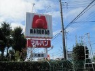 埼玉県川越市伐採工事　カシの木伐採　高木の伐採　作業後
